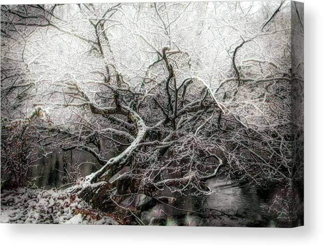 Carolina Canvas Print featuring the photograph Crown of Ice by Debra and Dave Vanderlaan