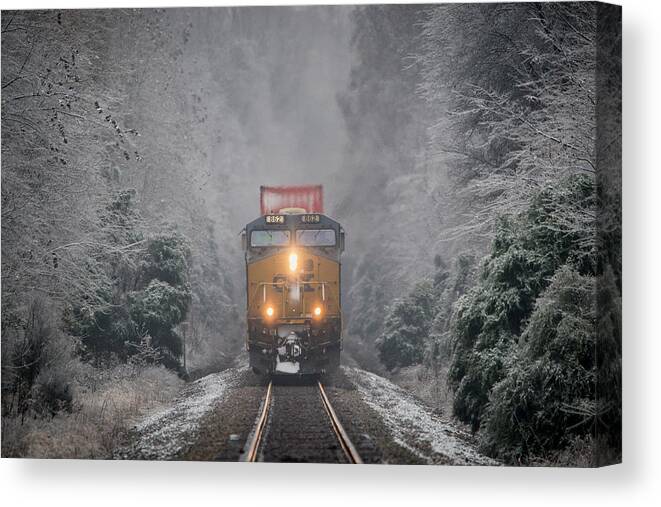 Railroad Canvas Print featuring the photograph CSX intermodal through an Ice Forest at Mortons Gap Ky by Jim Pearson