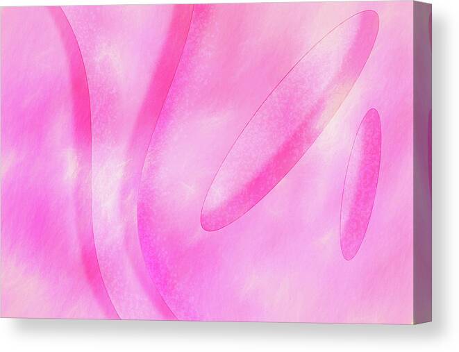 Pink Canvas Print featuring the digital art Curves in Pink by Jason Fink