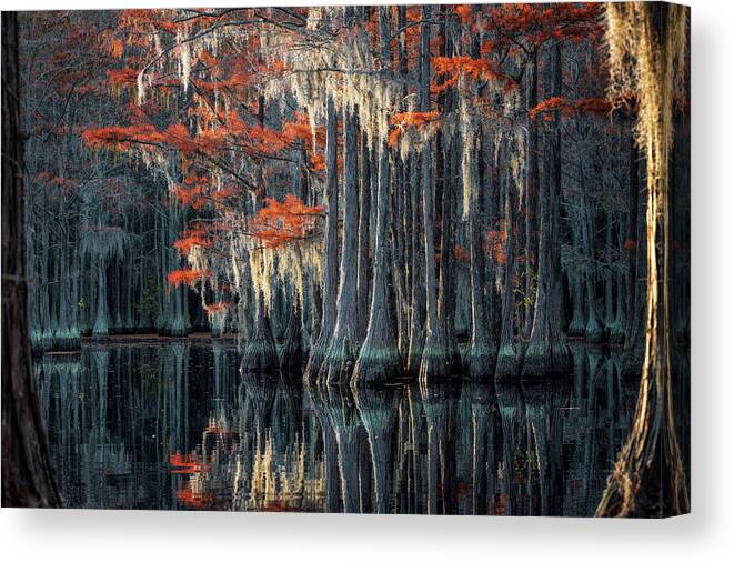 Abstract Canvas Print featuring the photograph Cypress and Spanish Moss by Alex Mironyuk