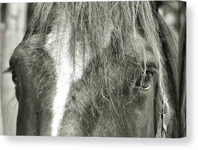 Aisle Canvas Print featuring the photograph Dart by JAMART Photography