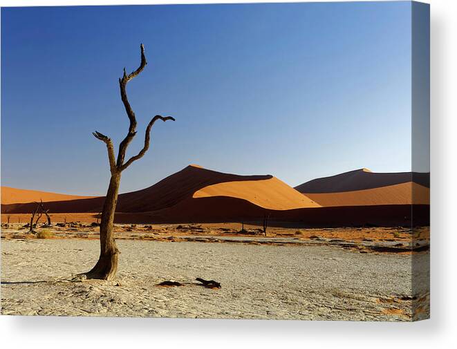 Sand Dune Wall Art Deadvlei Desert Dead Tree Canvas Print Namibia Africa