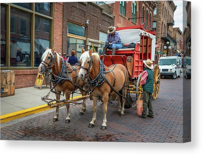 Stagecoach Canvas Print featuring the photograph Deadwood Stagecoach by Lorraine Baum