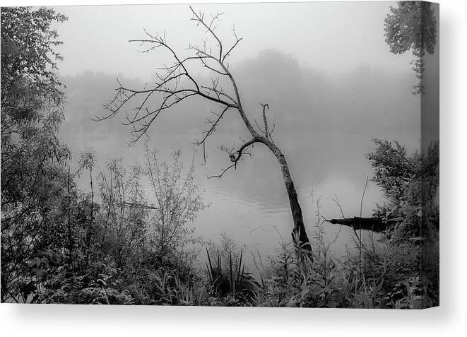 Cove Lake State Park Canvas Print featuring the photograph Delicate Dance by Marcy Wielfaert