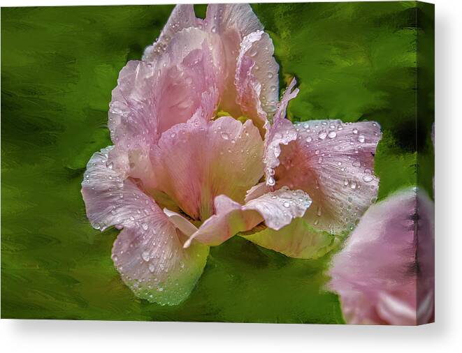 Delicate Wet Canvas Print featuring the mixed media Delicate wet #i7 by Leif Sohlman