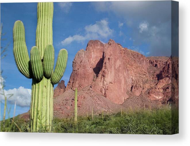Scenics Canvas Print featuring the photograph Desert Mountain Landscape by Vlynder