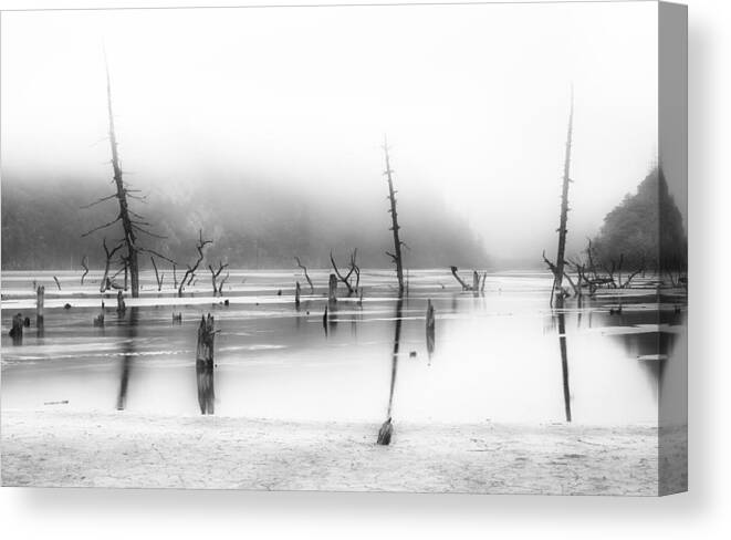 Sichuan Canvas Print featuring the photograph Desolated by Nicolas Marino