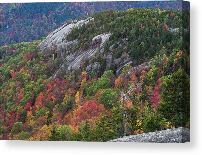 Dickey Canvas Print featuring the photograph Dickey Ledges Autumn by White Mountain Images