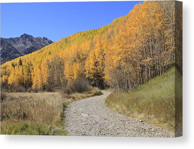 Scenics Canvas Print featuring the photograph Dirt Road In The Elk Mountains, Colorado by John Kieffer