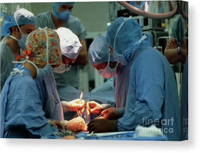 1980-1989 Canvas Print featuring the photograph Doctors Performing Heart-lung Transplant by Bettmann