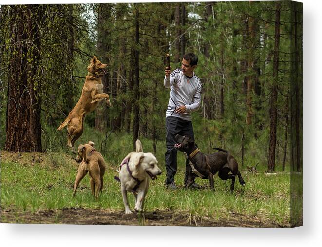 Dog Canvas Print featuring the photograph Dogs playing by Julieta Belmont
