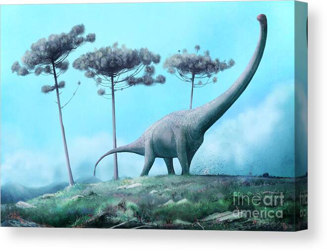 Dreadnoughtus Canvas Print featuring the photograph Dreadnoughtus Dinosaur by Mark P. Witton/science Photo Library