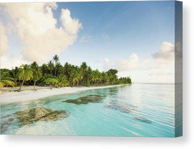 Scenics Canvas Print featuring the photograph Dream Beach White Sand And Palm Trees by Mlenny