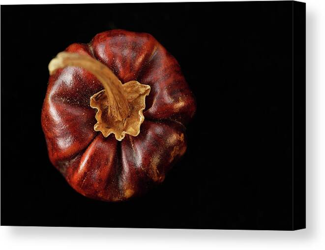 Spice Canvas Print featuring the photograph Dried Chilli Pepper by Asia Images Group