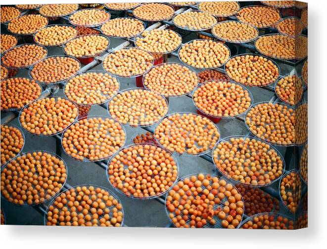 Taiwan Canvas Print featuring the photograph Dried Persimmon by Rommel