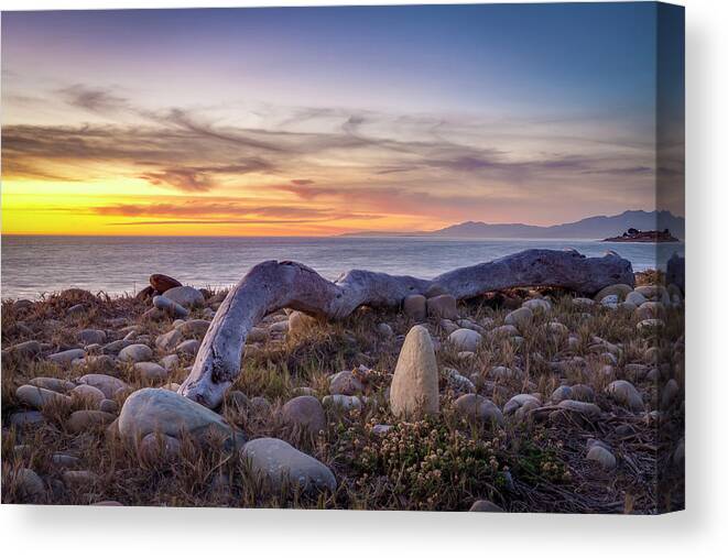 Driftwood Canvas Print featuring the photograph Driftwood January by Chris Moyer