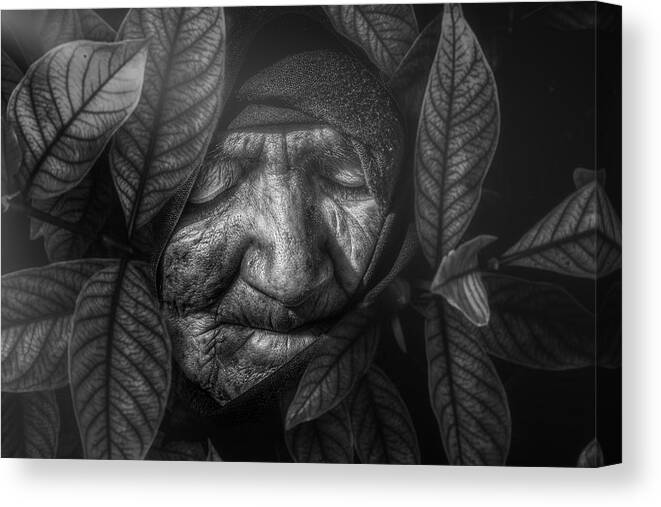 Emotion Canvas Print featuring the photograph Drowned In Desire by Sayed Habib Bidel