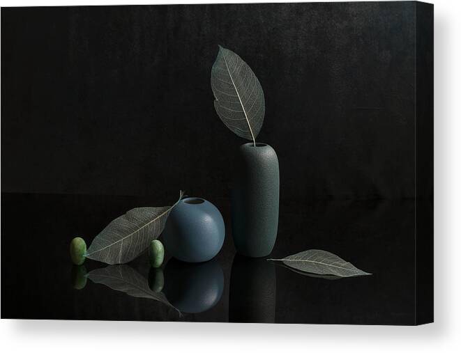 Leaves Canvas Print featuring the photograph Dry Leaves by Ming Chen