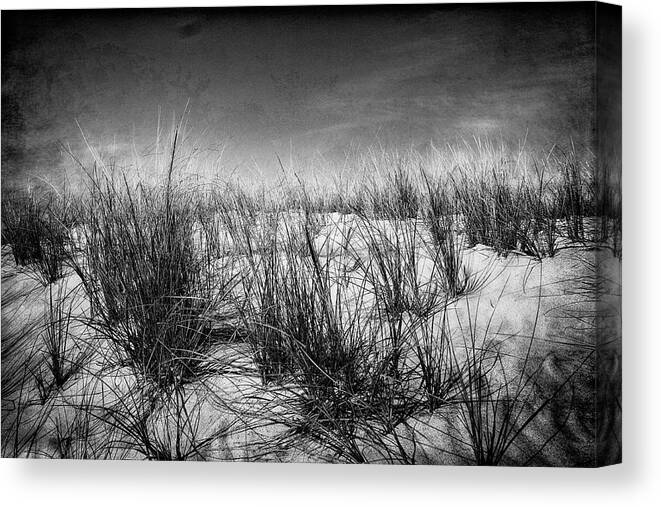 Black And White Canvas Print featuring the photograph Dune by Jim Ford