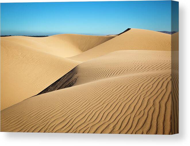 Sand Dune Canvas Print featuring the photograph Dunes by Mimi Ditchie Photography