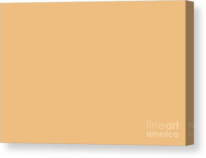 Pastels Canvas Print featuring the digital art Dunn Edwards 2019 Trending Colors Apricot Appeal Pastel Orange DE5234 Solid Color by PIPA Fine Art - Simply Solid