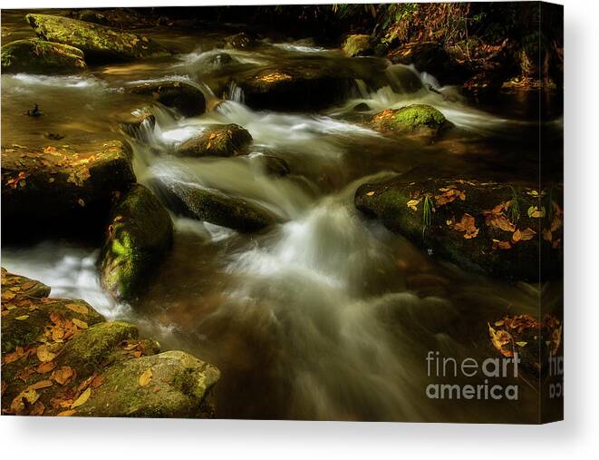 Fall Canvas Print featuring the photograph Early Autumn Light by Mike Eingle
