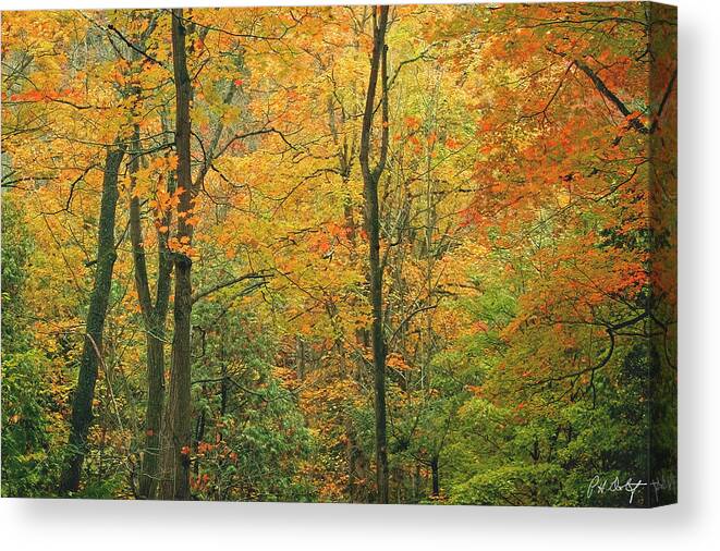 Autumn Canvas Print featuring the photograph Early Autumn On The Bruce by Phill Doherty