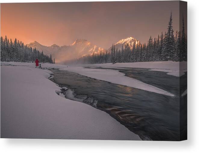 Canadian Canvas Print featuring the photograph Early Bird by James S. Chia