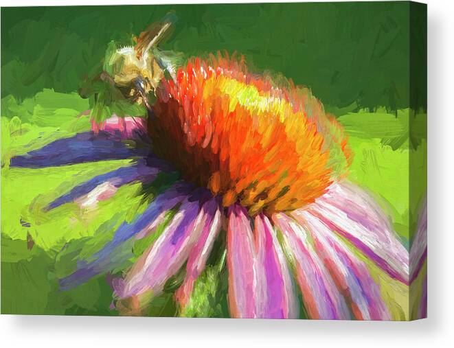 Impressionism Canvas Print featuring the photograph Echinacea Visitor by Ginger Stein