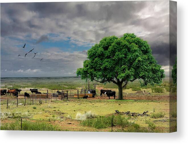 Cows Canvas Print featuring the jewelry Edit This, Cows in Pasture by Sandra J's