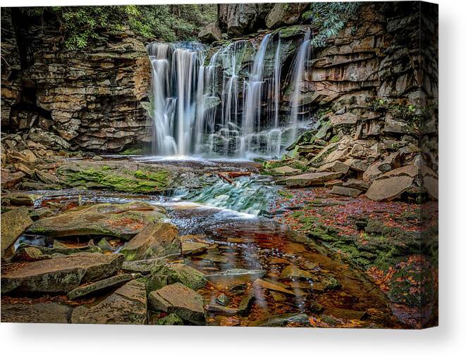 Landscapes Canvas Print featuring the photograph Elakala Falls 1020 by Donald Brown