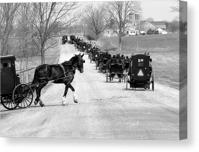 Horse Canvas Print featuring the photograph Entering The Mennonite Line On Road by Gail Shotlander