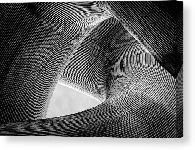 Lines Canvas Print featuring the photograph Entwined by Peter Pfeiffer