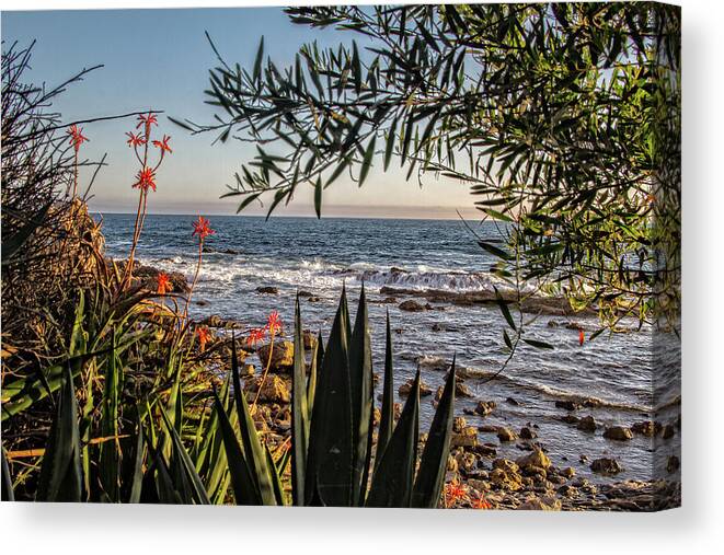 Beach View Canvas Print featuring the photograph Epic Ocean View by Chris Spencer