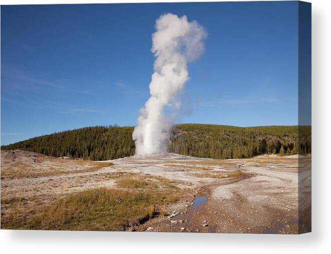 Scenics Canvas Print featuring the photograph Eruption Of Old Faithful In Yellowstone by Rafalkrakow