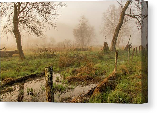 Fog Canvas Print featuring the photograph Ethereal Edge by Marcy Wielfaert