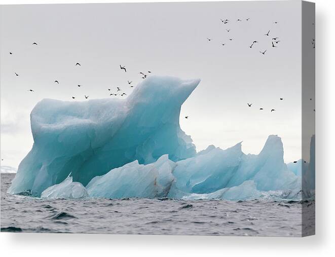 Iceberg Canvas Print featuring the photograph Europe, Norway, Spitsbergen, Svalbard by Westend61