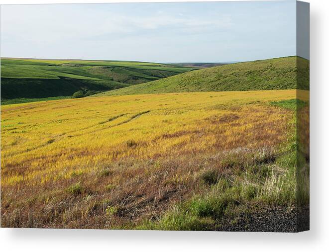 Evening In May Canvas Print featuring the photograph Evening in May by Tom Cochran