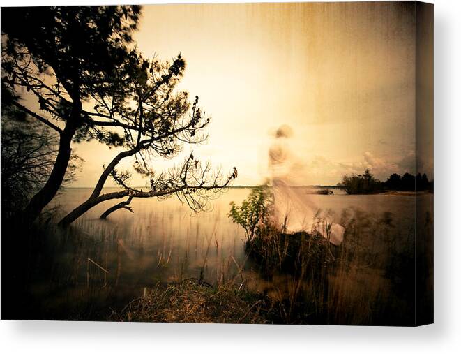 Ghost Canvas Print featuring the photograph Expectation by Molivio