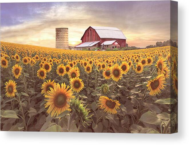 Barns Canvas Print featuring the photograph Faces in Country Colors by Debra and Dave Vanderlaan