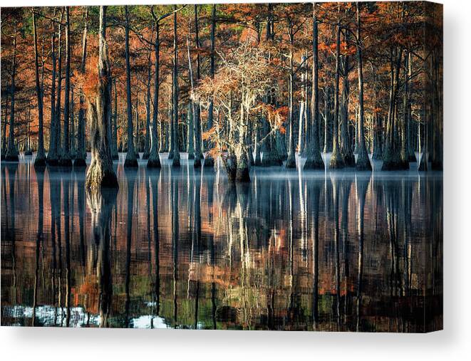 Abstract Canvas Print featuring the photograph Fall at Cypress Lake by Alex Mironyuk