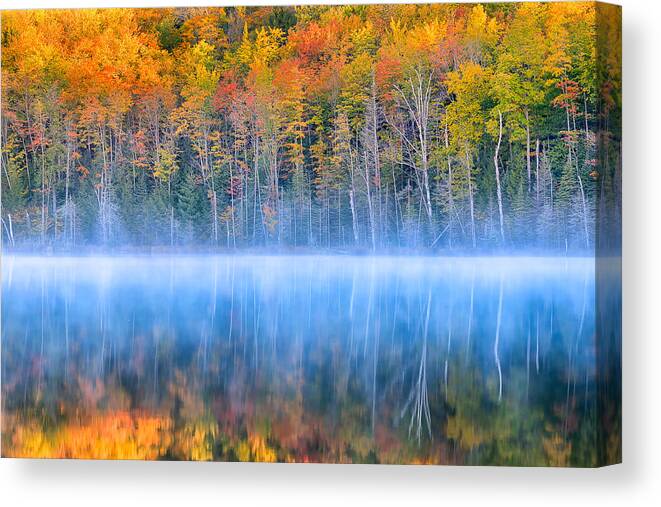 Fall Canvas Print featuring the photograph Fall Color by Yimei Sun