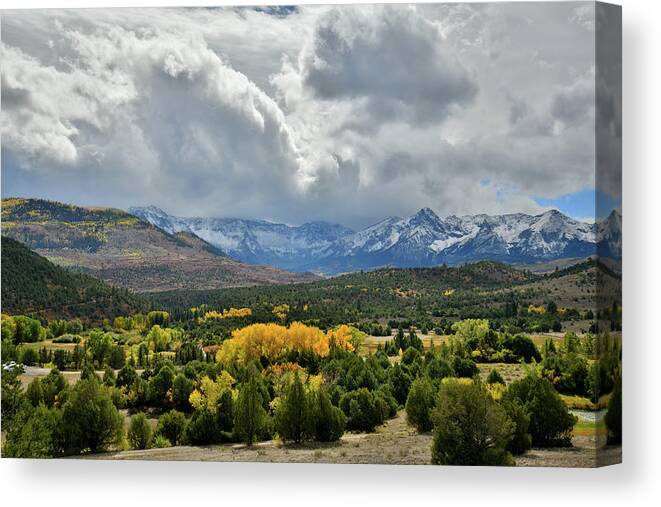  Canvas Print featuring the photograph Fall Colors near Dallas Divide by Ray Mathis