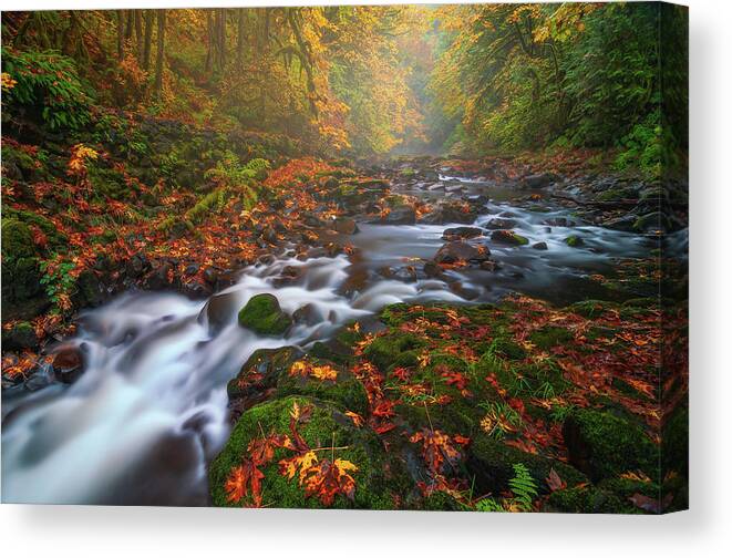 Fall Canvas Print featuring the photograph Fall Fantasy 3 by Darren White