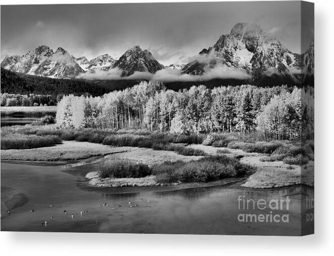 Oxbow Canvas Print featuring the photograph Fall Foliage Along The Snake River Black And White by Adam Jewell