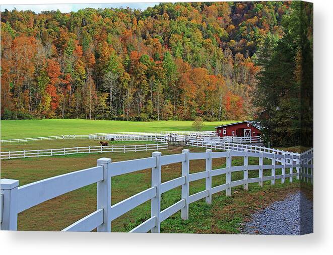 Fall Canvas Print featuring the photograph Fall in North Georgia by Richard Krebs