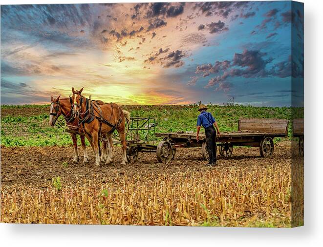 Lancaster Canvas Print featuring the photograph Farmer with his horses by Roni Chastain
