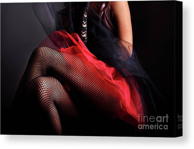 Woman Canvas Print featuring the photograph Female Legs in fishnet stockings by Jelena Jovanovic
