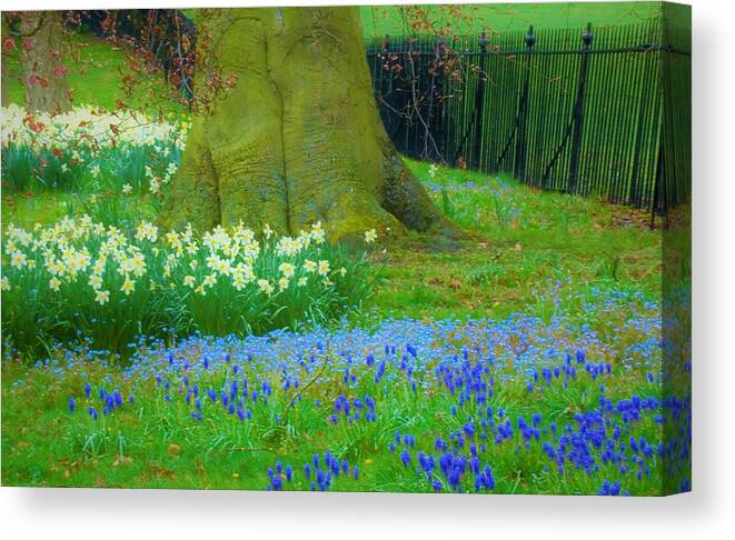 Field Of Flowers Canvas Print featuring the photograph - Field of Flowers by THERESA Nye