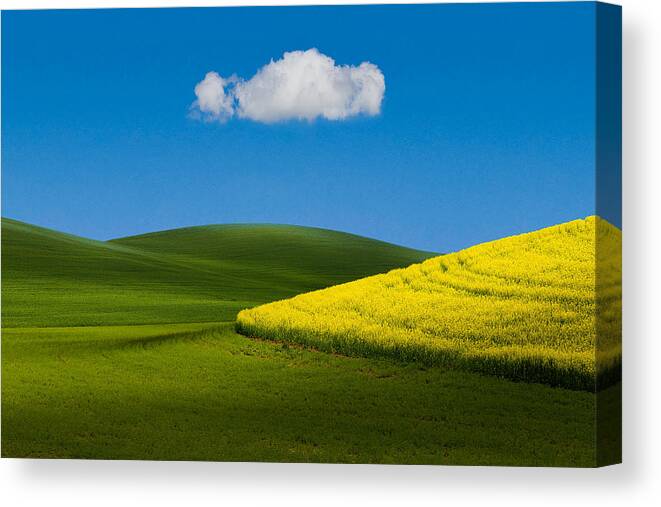 Field
Wheat Field
Sky
Cloud
Usa Canvas Print featuring the photograph Field Tone by Tony Xu
